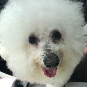 Meet your Posher, Sherry